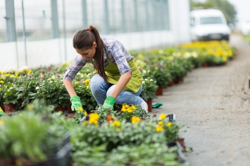 Gardener at work in a Turnham Green garden near terraced houses