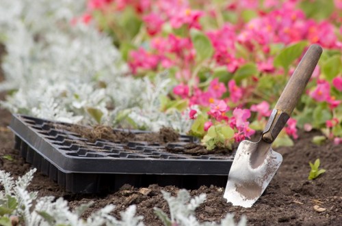 Tree removal process by experts