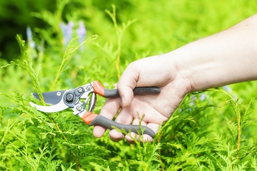 Turnham Green gardener planting seasonal flowers