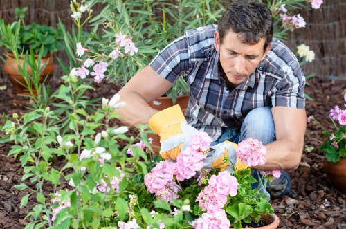 Gardener designing landscape in Turnham Green